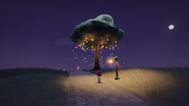 夜の大樹と星の灯り
